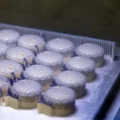 Prototipazione rapida: stampa 3D di cere per oreficeria